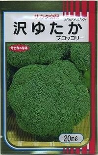 送料無料　[ブロッコリー]　沢ゆたか　20ml　(株)サカタのタネ