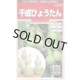 送料無料　千成ひょうたん　約40粒　(株)サカタのタネ　実咲250（002862）