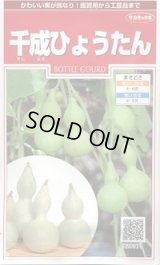 送料無料　千成ひょうたん　約40粒　(株)サカタのタネ　実咲250（002862）