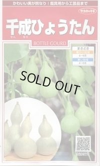 送料無料　千成ひょうたん　約40粒　(株)サカタのタネ　実咲250（002862）