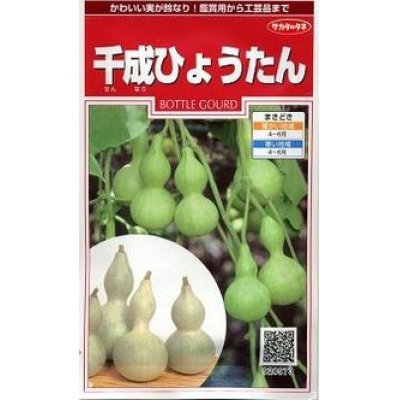 画像1: [その他]　千成ひょうたん　約40粒  （株）サカタのタネ　実咲200