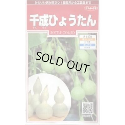 画像1: 送料無料　千成ひょうたん　約40粒　(株)サカタのタネ　実咲250（002862）
