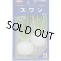 送料無料　[かぶ]　スワン　20ml　タキイ種苗(株)
