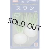 送料無料　[かぶ]　スワン　20ml　タキイ種苗(株)