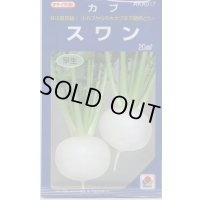 送料無料　[かぶ]　スワン　20ml　タキイ種苗(株)