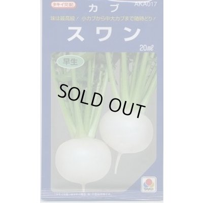 画像1: 送料無料　[かぶ]　スワン　20ml　タキイ種苗(株)