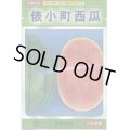 送料無料　[スイカ]　小玉スイカ　俵小町西瓜　7粒　大和農園