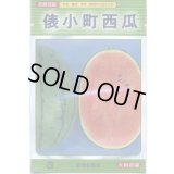 送料無料　[スイカ]　小玉スイカ　俵小町西瓜　7粒　大和農園