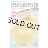 送料無料　[たまねぎ]　トップゴールド320　3.5ml　(株)タカヤマシード