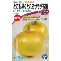 送料無料　[たまねぎ]　トップゴールド320　3.5ml　(株)タカヤマシード