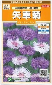 花の種　矢車菊　平山寒咲き八重混合　約67粒　サカタのタネ（株）実咲200