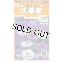 送料無料　花の種　矢車菊　平山寒咲き八重混合　約67粒　(株)サカタのタネ　実咲200（026366）