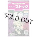 送料無料　花の種　スプレーストック　カルテットミックス　約75粒　(株)サカタのタネ　実咲350（026116）