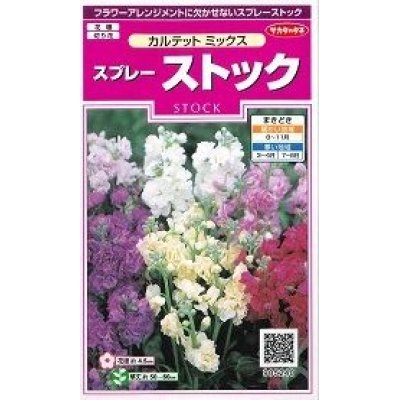 花種 小袋 スプレーストック カルテットミックス サカタのタネ 花種 花種 小袋 秋まき グリーンロフトネモト直営