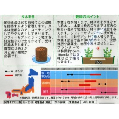 画像2: 花の種　トルコギキョウバイカラー ミックス　約45粒　サカタのタネ（株）実咲250