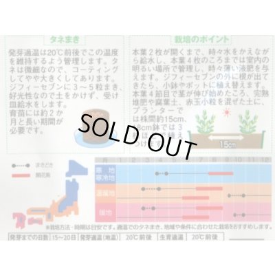 画像2: 花の種 トルコギキョウ バイカラーミックス 約45粒 (株)サカタのタネ 実咲250(026260)