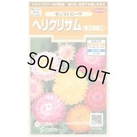 送料無料　花の種　ヘリクリサム　帝王貝細工　モンストローサ　約215粒　　(株)サカタのタネ　実咲200（026355）