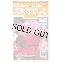 送料無料　花の種　美女なでしこ　切り花用混合　約175粒　(株)サカタのタネ　実咲200（026342）