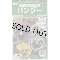 花の種 　パンジー　シャロンジャイアントミックス　約34粒　サカタのタネ（株）実咲250