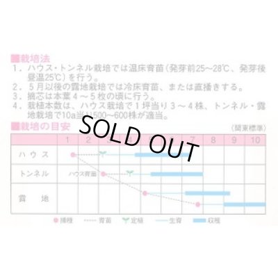 画像2: [瓜類] 白はぐら瓜 100粒 渡辺農事(株)