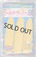 送料無料[とうもろこし]　ゴールドラッシュ88　2000粒　(株)サカタのタネ