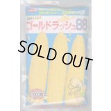 送料無料[とうもろこし]　ゴールドラッシュ88　2000粒　(株)サカタのタネ