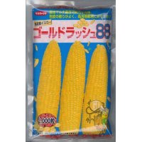 [とうもろこし]　ゴールドラッシュ88　2000粒　サカタ交配　