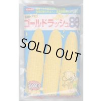 送料無料[とうもろこし]　ゴールドラッシュ88　2000粒　(株)サカタのタネ