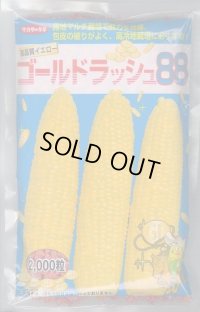 送料無料[とうもろこし]　ゴールドラッシュ88　2000粒　(株)サカタのタネ