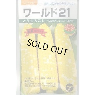 画像1: 送料無料　[とうもろこし]　ワールド21　EX　200粒　(株)タカヤマシード