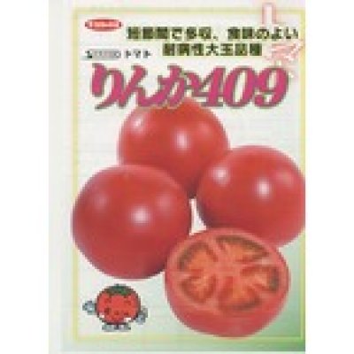 画像2: [トマト/大玉トマト]　送料無料！　りんか409　1000粒　サカタのタネ（株）