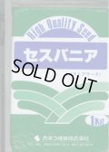 [緑肥]　セスバニア　ロストアラータ(マメ科)1kg　カネコ種苗(株)