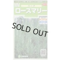 送料無料　[ハーブの種]　ローズマリー　約65粒　(株)サカタのタネ　実咲（003194）