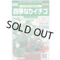 送料無料　花の種　ワイルドストロベリー　(四季なりイチゴ)　約143粒　　(株)サカタのタネ　実咲250（026217）