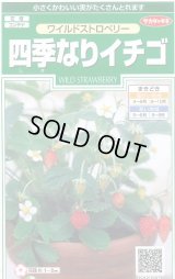 送料無料　花の種　ワイルドストロベリー　(四季なりイチゴ)　約143粒　　(株)サカタのタネ　実咲250（026217）