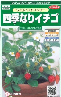 花の種　ワイルドストロベリー　（四季なりイチゴ）　約143粒　サカタのタネ