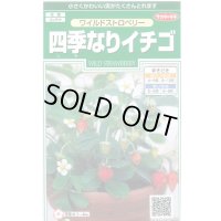 送料無料　花の種　ワイルドストロベリー　(四季なりイチゴ)　約143粒　　(株)サカタのタネ　実咲250（026217）