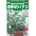 画像1: 花の種　ワイルドストロベリー　（四季なりイチゴ）　約143粒　サカタのタネ（株）実咲250 (1)