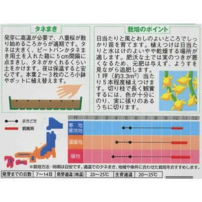 画像2: 送料無料　花の種　カナリアナス　(とげなしつのなす)　約39粒　(株)サカタのタネ　実咲250（026258）