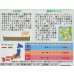 画像2: 送料無料　花の種　カナリアナス　(とげなしつのなす)　約39粒　(株)サカタのタネ　実咲250（026258） (2)