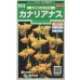 画像1: 送料無料　花の種　カナリアナス　(とげなしつのなす)　約39粒　(株)サカタのタネ　実咲250（026258） (1)