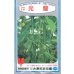 画像1: 送料無料　[キュウリ]　光耀　350粒　(株)(株)ときわ研究場 (1)