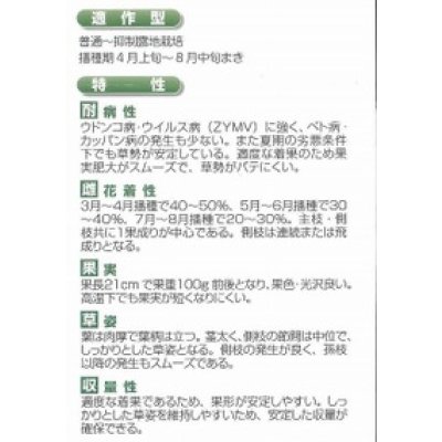 画像2: 送料無料　[キュウリ]　光耀　350粒　(株)(株)ときわ研究場