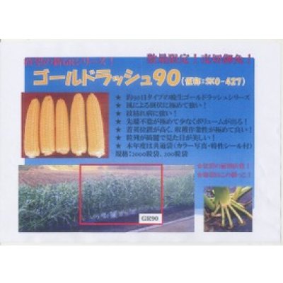 画像2: 送料無料　[とうもろこし]　ゴールドラッシュ90　200粒　(株)サカタのタネ
