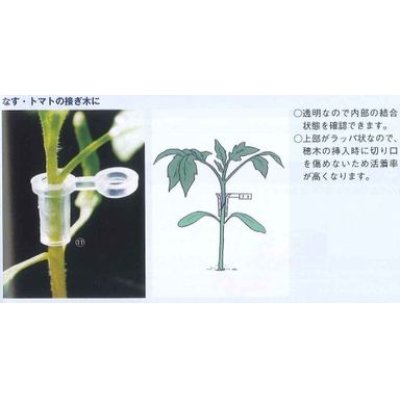 画像2: 接木・生産資材　スーパーウィズ　接木用具　（100個入り）