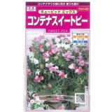 送料無料　花の種　コンテナスイートピー　キューピッドミックス　約15粒　(株)サカタのタネ　実咲350（026115）