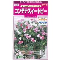 送料無料　花の種　コンテナスイートピー　キューピッドミックス　約15粒　(株)サカタのタネ　実咲350（026115）