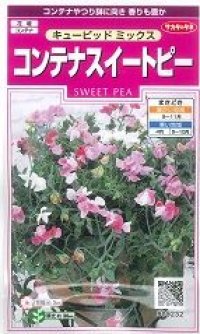 送料無料　花の種　コンテナスイートピー　キューピッドミックス　約15粒　(株)サカタのタネ　実咲350（026115）