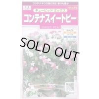 花の種　コンテナスイートピー　キューピッドミックス　約15粒　サカタのタネ（株）実咲350