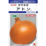 送料無料　[たまねぎ]　アトン　5.5ml(約540粒)　タキイ種苗(株)　DF